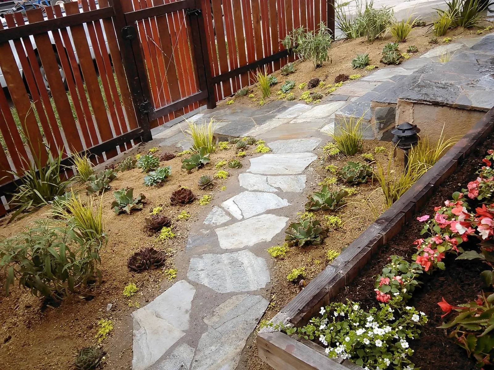 Flagstone garden path with succulents and a raised flower bed