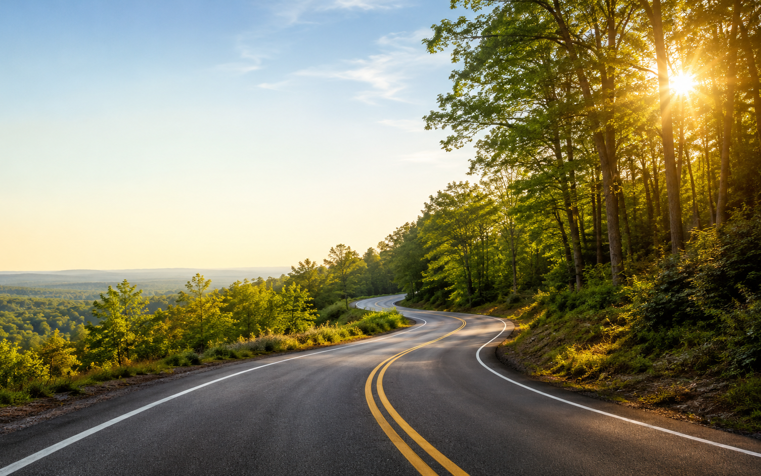 An open road through the trees