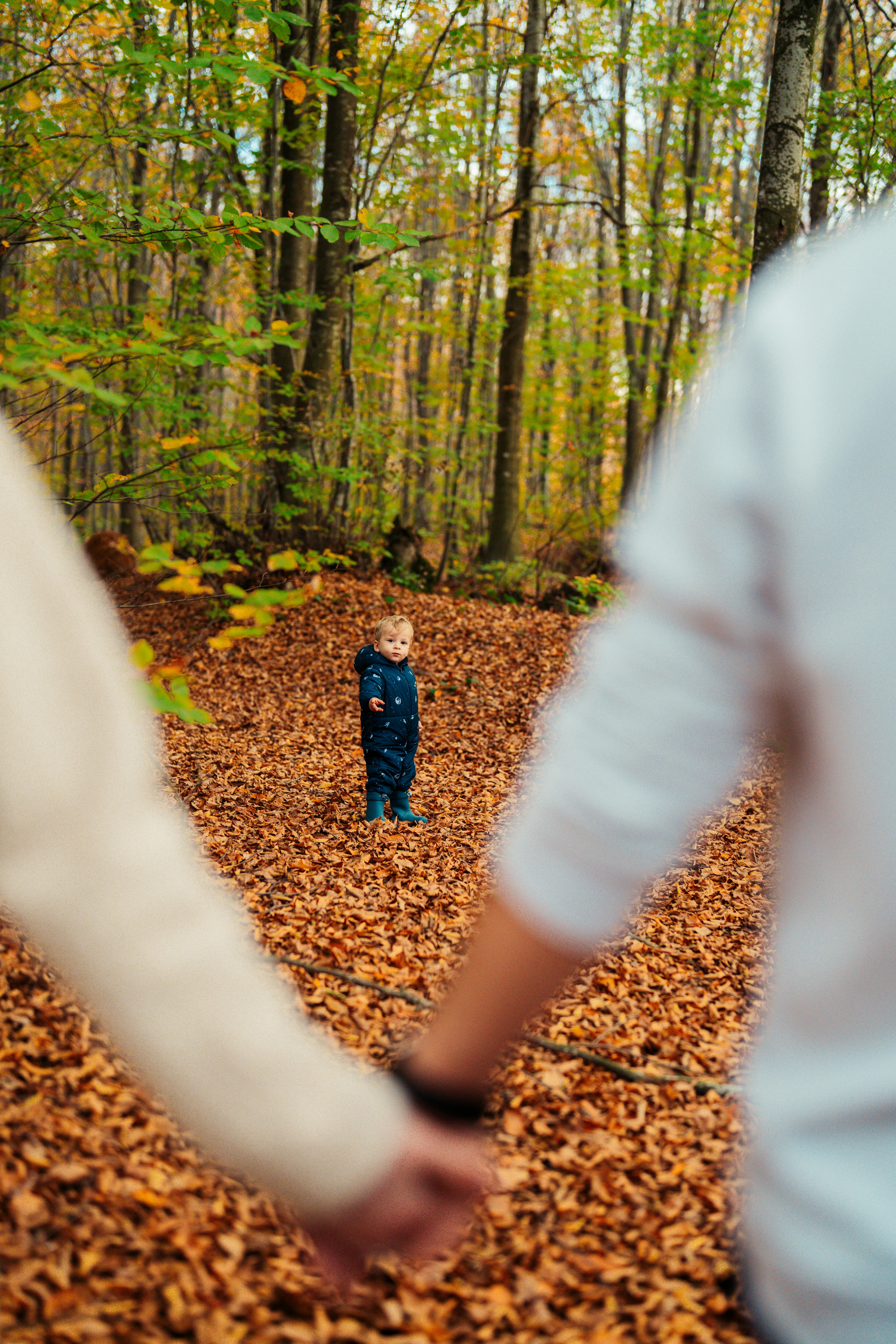 Two parents hold hands in the foreground as their young child stands alone on an autumn leaf-covered path in a woodland setting Two parents hold hands in the foreground as their young child stands alone on an autumn leaf-covered path in a woodland setting