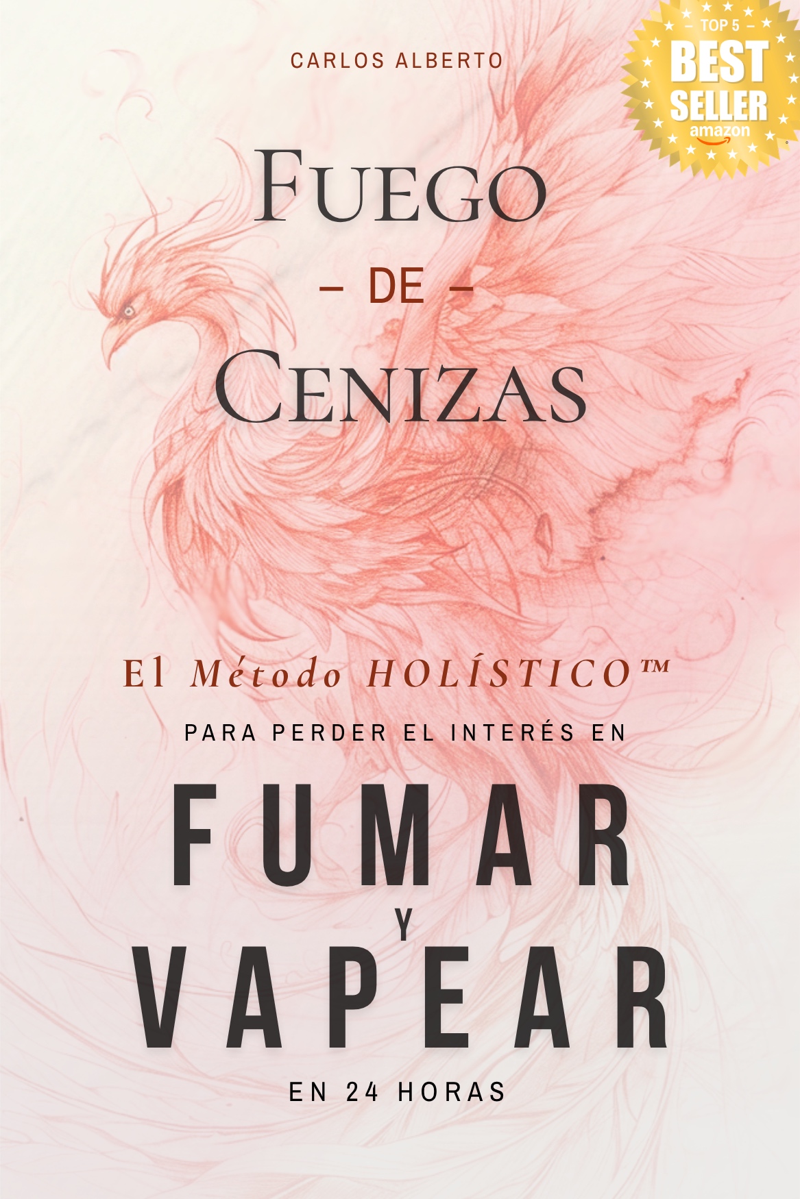 Fuego de Cenizas