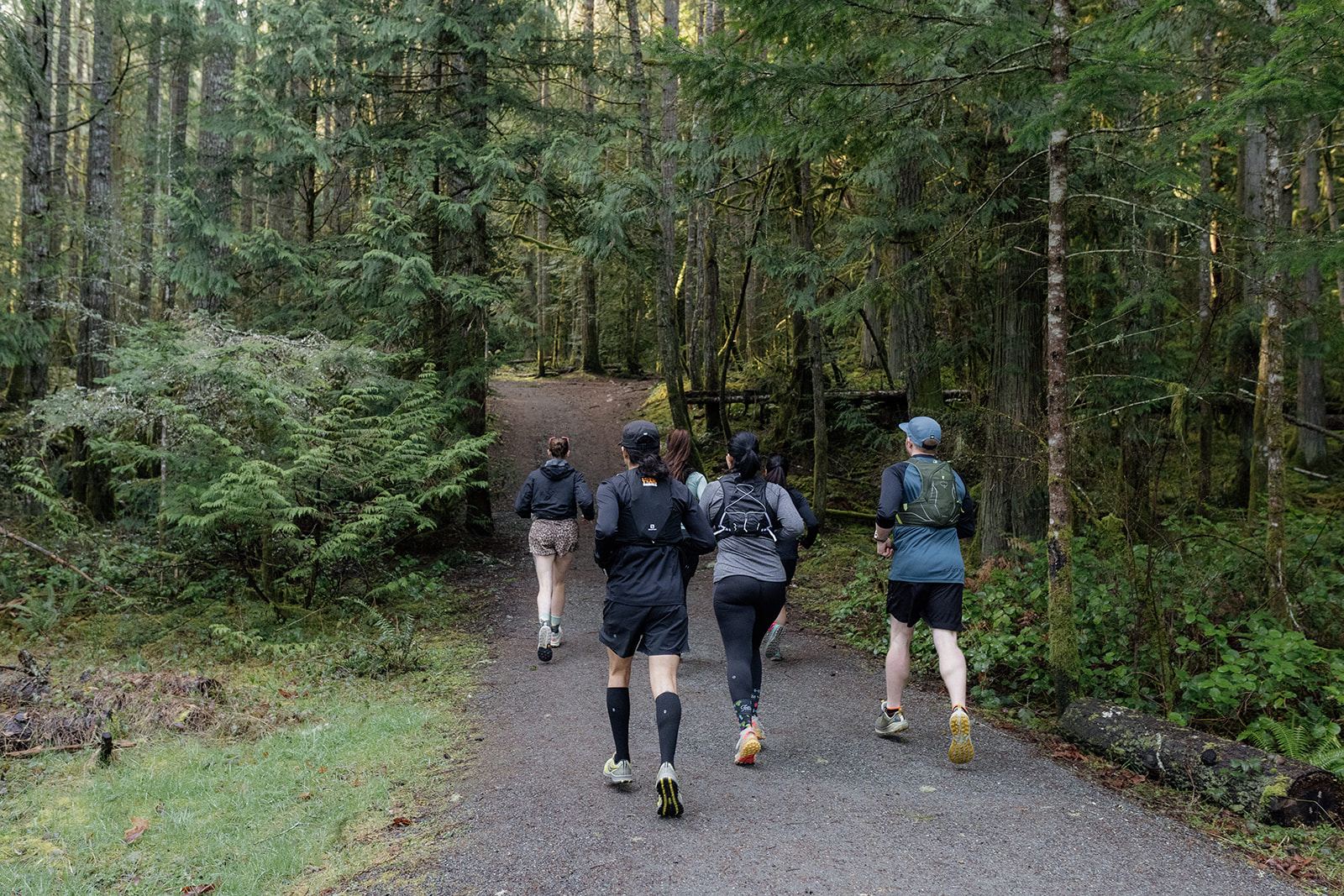 Tropos members on a mountain trail