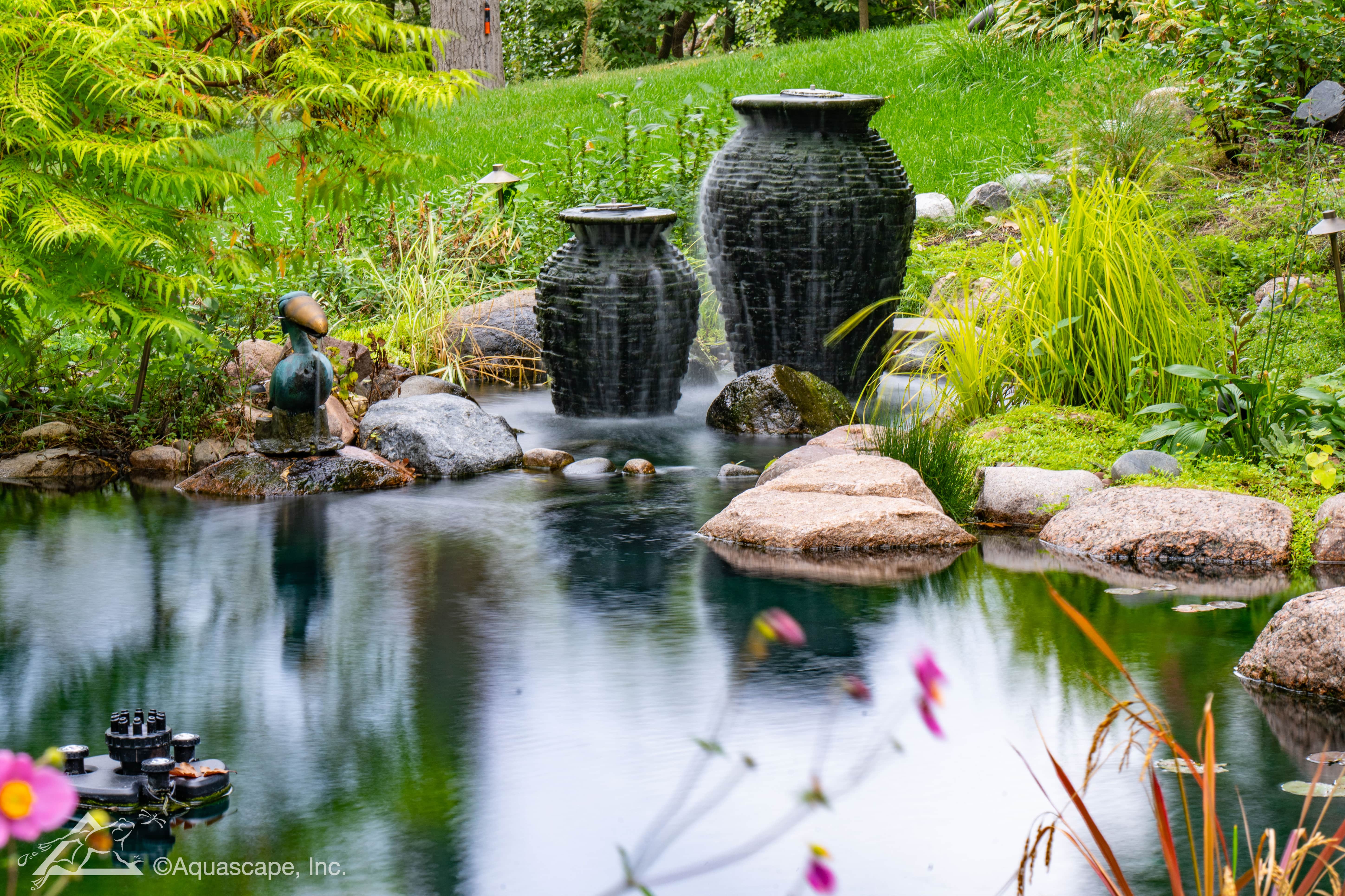 【wordofhonor75】Windflower、Pond Proud Ponds | Pond Waterfall contractors and builders in