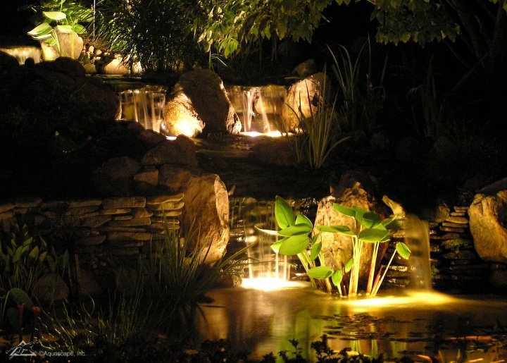 Pond Lights