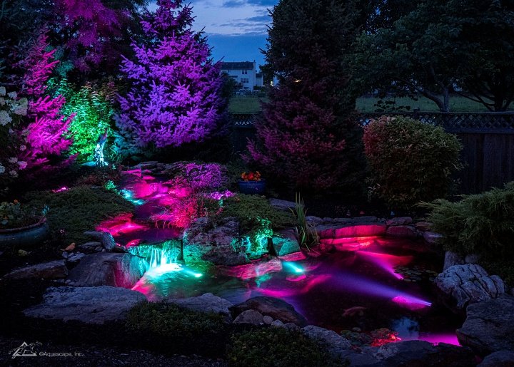 color changing lights