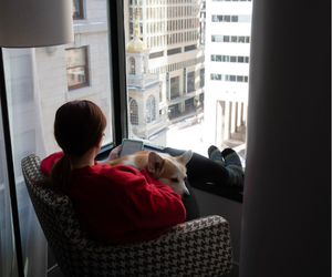 dog friendly stay dog friendly stay