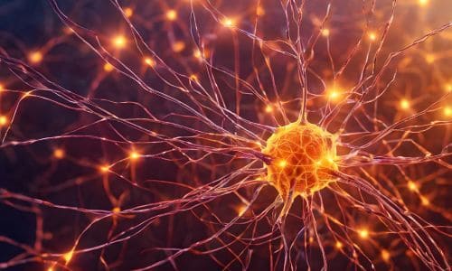 Neural Therapy Injections for Pain, Inflammation, and Nervous System Regulation in Kailua-Kona