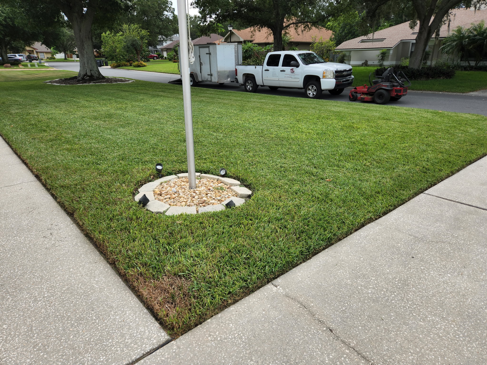 Trimming in Lakeland, Florida