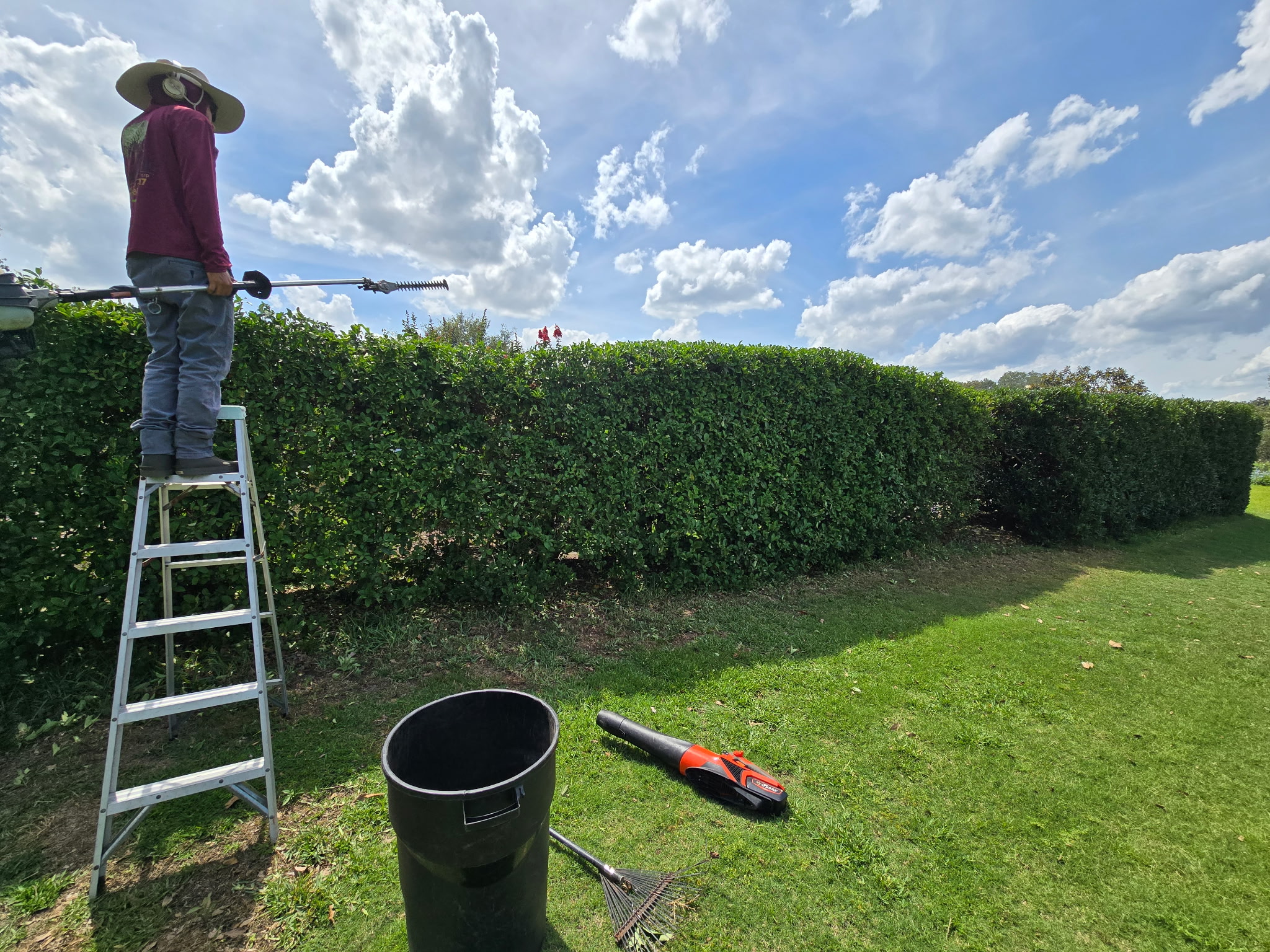 Tree Trimming in Lakeland