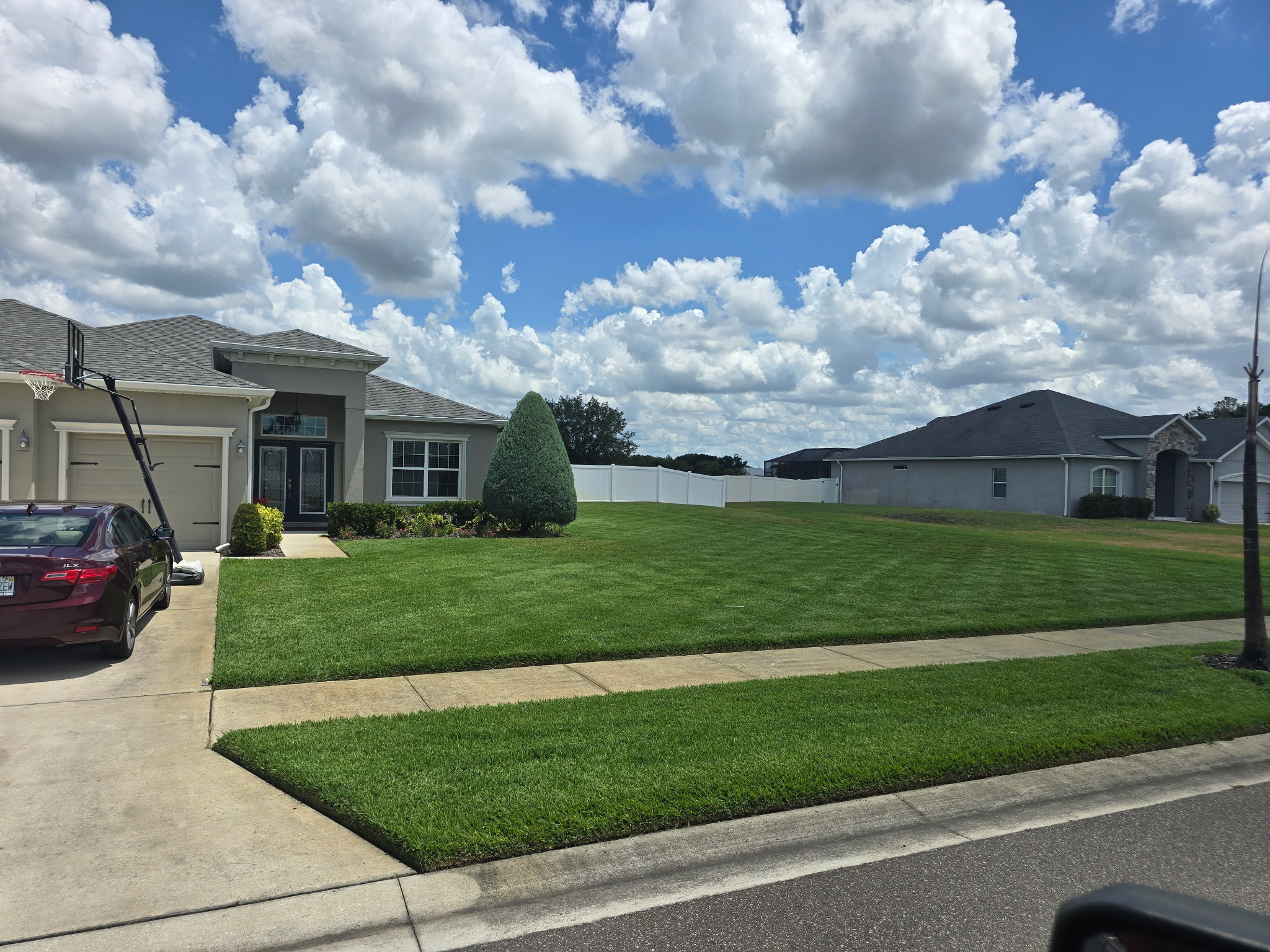Yard Cleanup in Lakeland