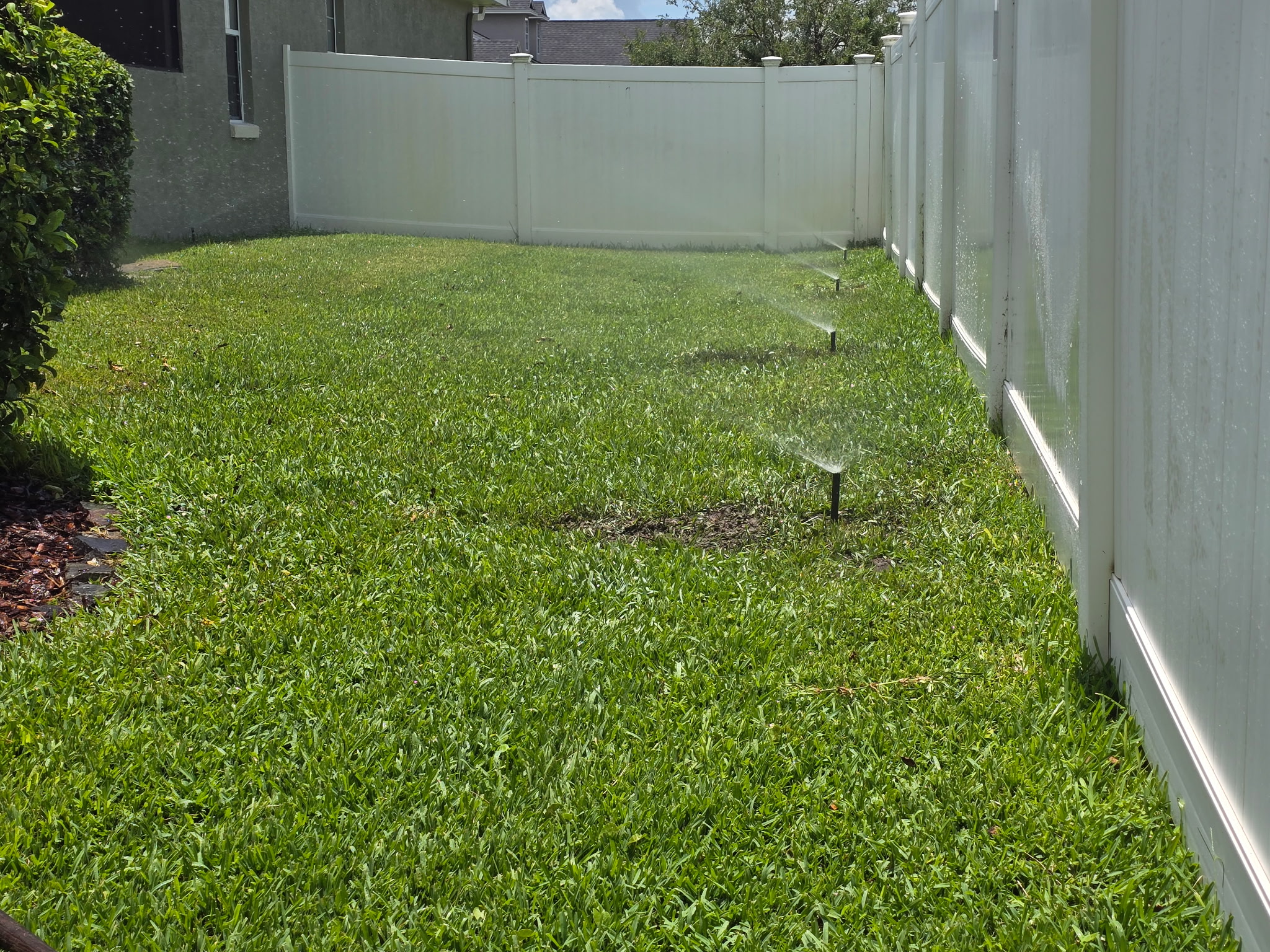shrub trimming