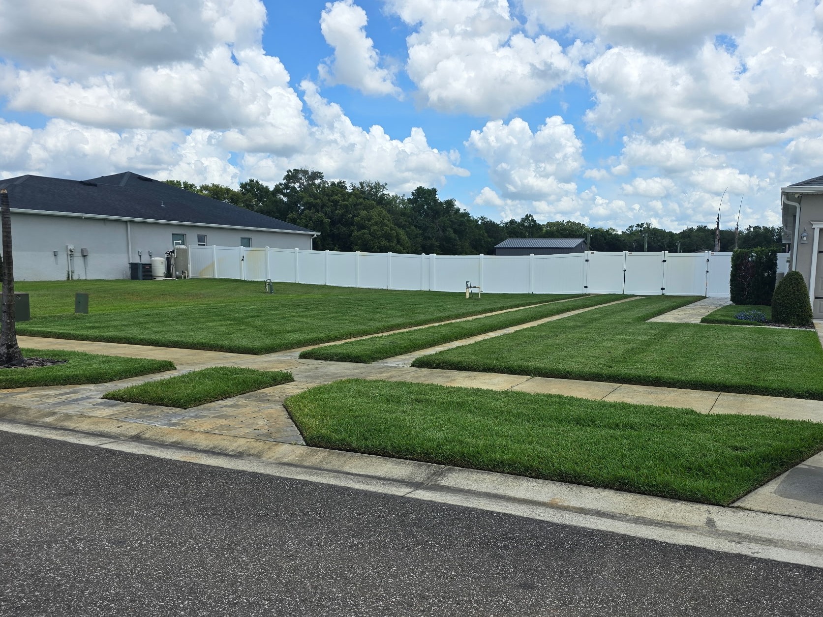 Trimming in Lakeland, Florida