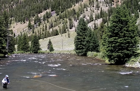 Big Sky and Gallatin Canyon