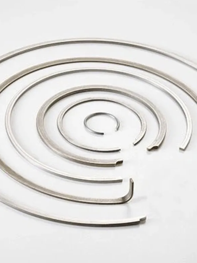 Retaining Springs