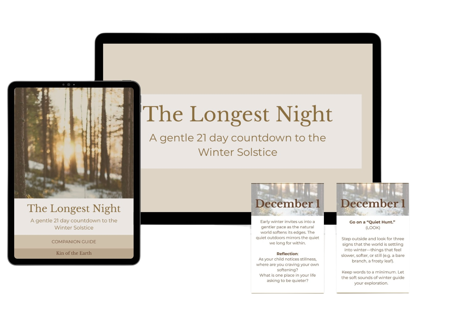 Digital mockup of the product - showing the companion guide cover and two cards