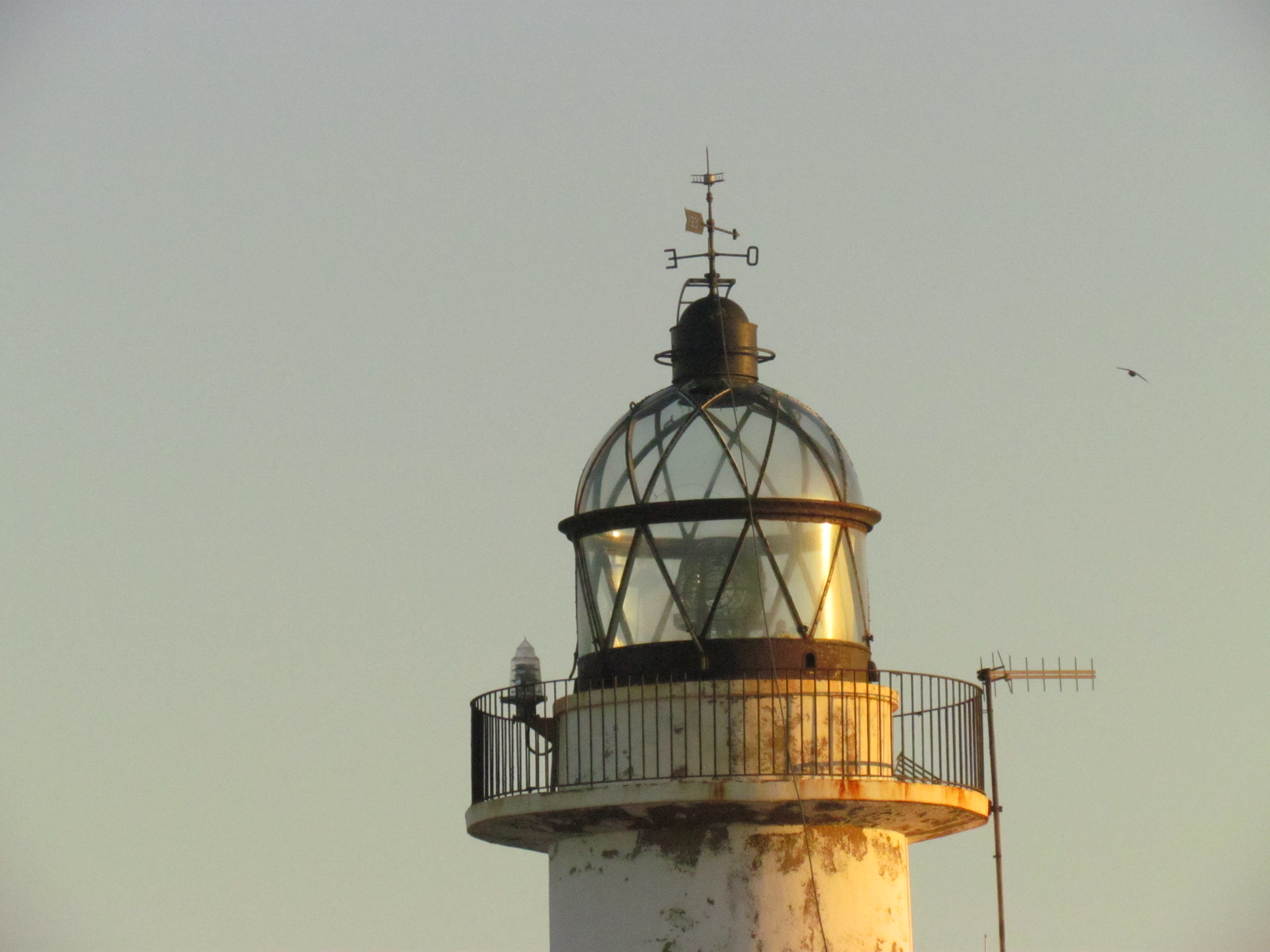 Aprende a pensar mejor en el agua
