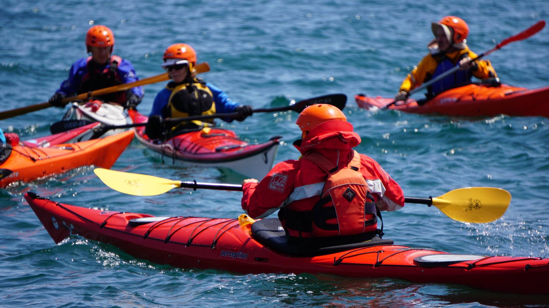 Un ecosistema completo de kayak