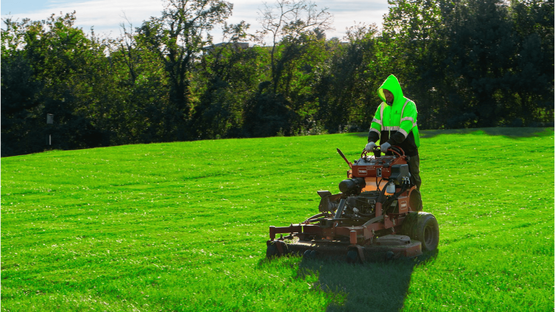 Dalesford Lawn Care