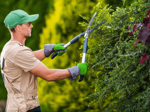 Gardening in Ballarat