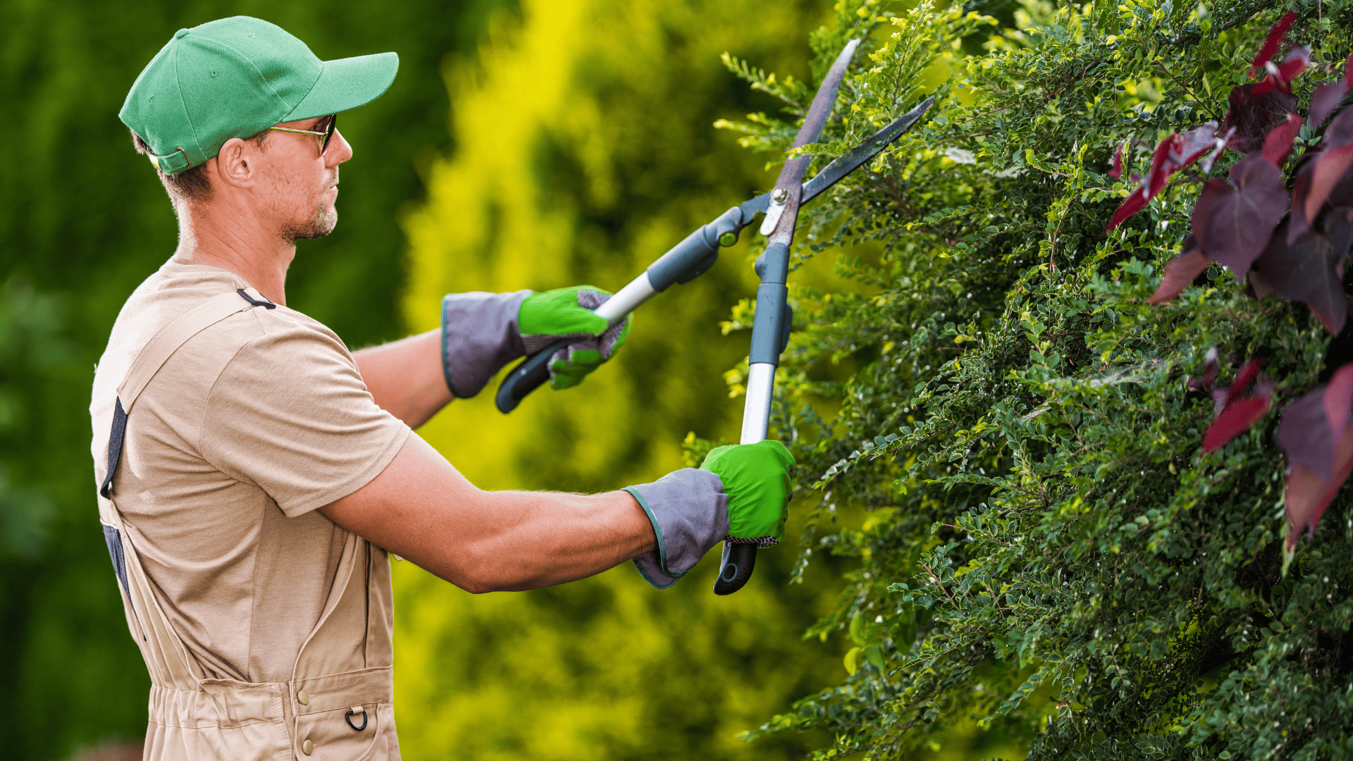 Dalesford Gardening