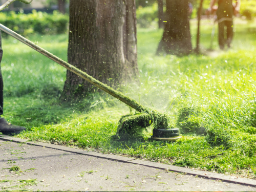 Gutter Cleaning Ballarat