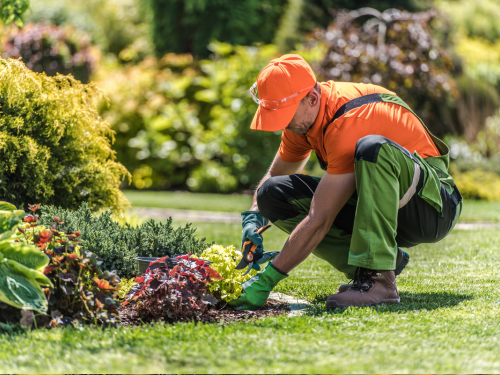 Lawn Care Ballarat