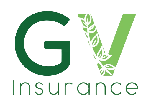 GoVine Insurance