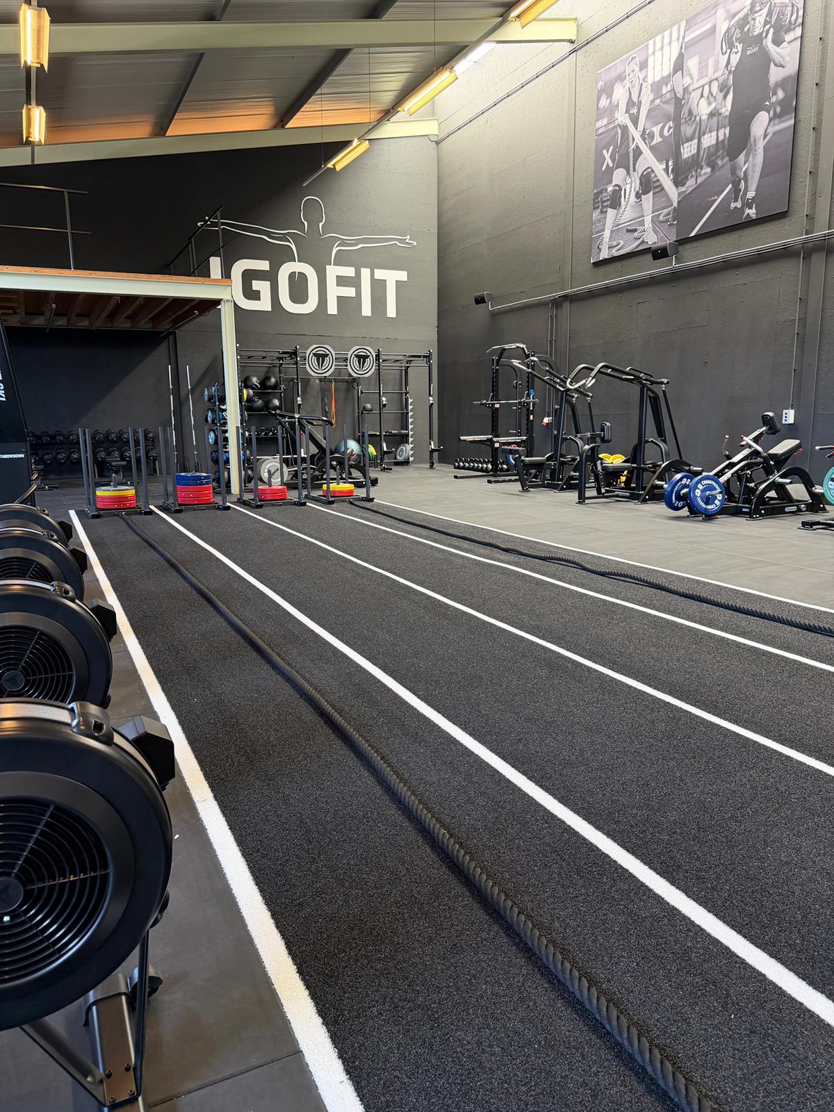 Fitness Lemmer