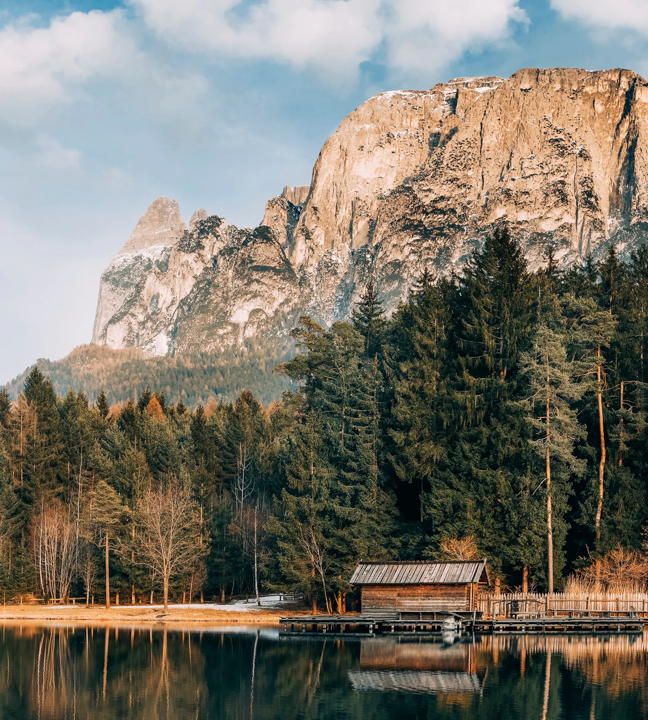Peaceful forest lake and mountain backdrop symbolizing holistic wellness and natural tranquility