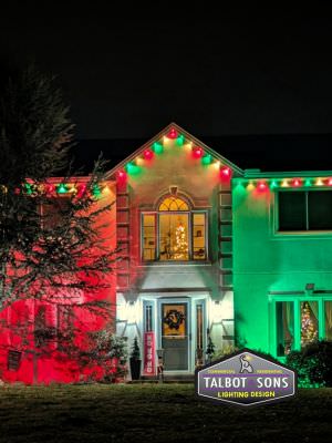christmas flood lights