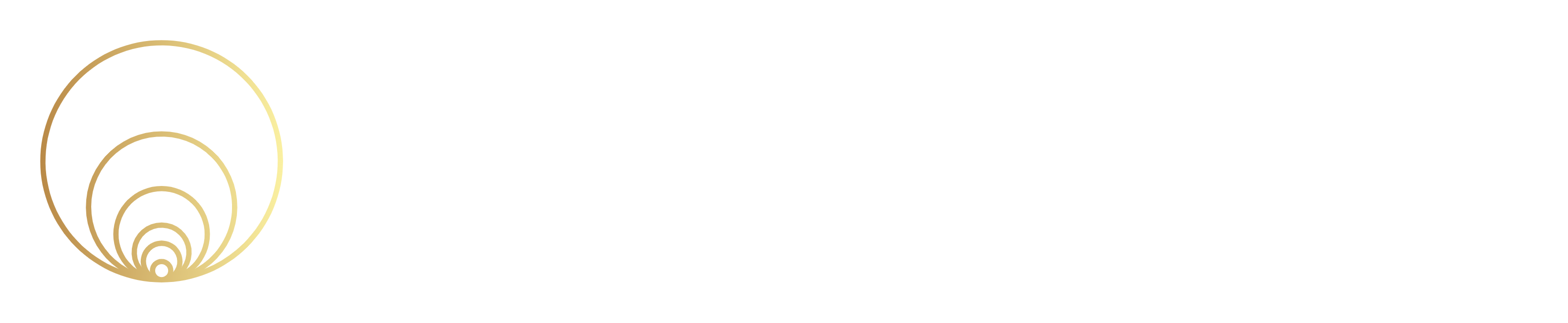 Snowball Economics logo