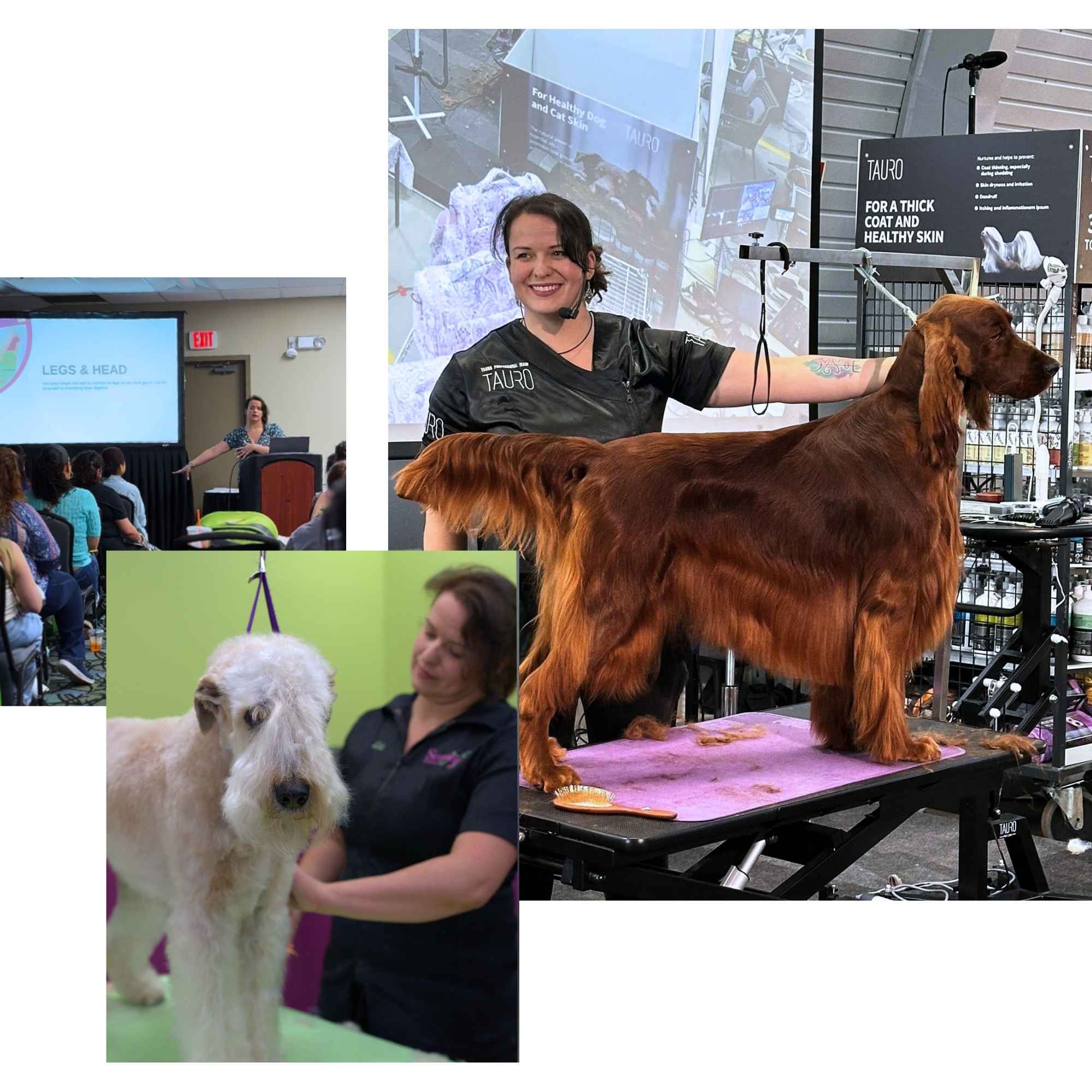 Lis Johnston as a professional groomer, educator, and salon owner.