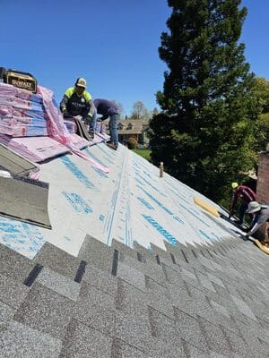 {{ custom_values.service_3 }} in {{custom_values.area_1})