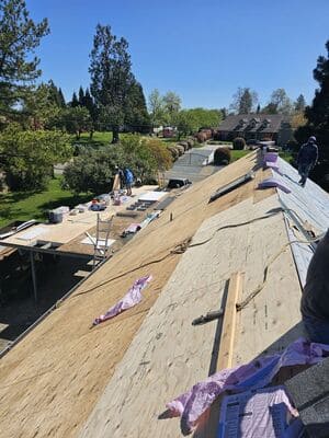 {{ custom_values.service_4 }} in {{custom_values.area_1})