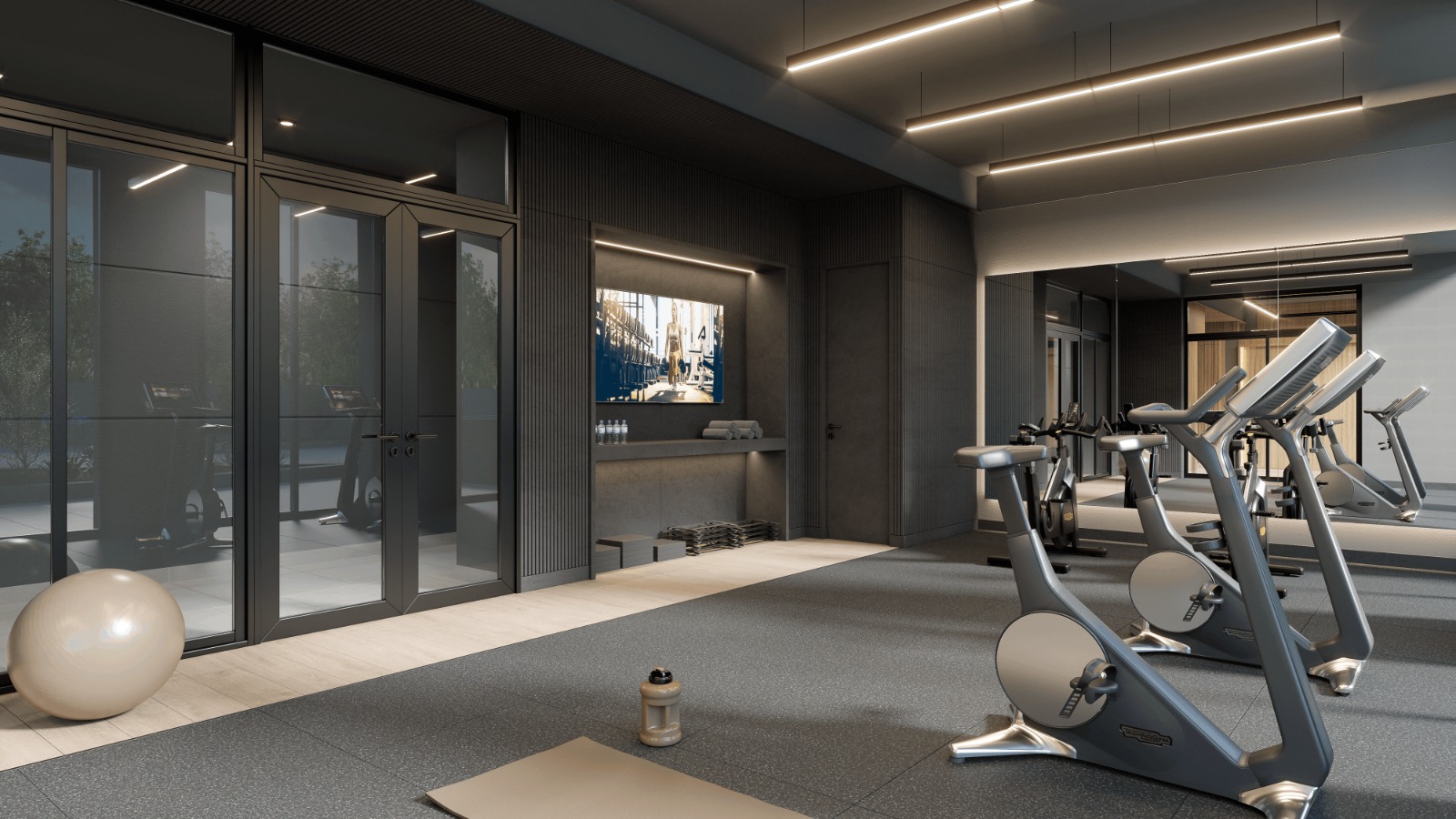 Gimnasio