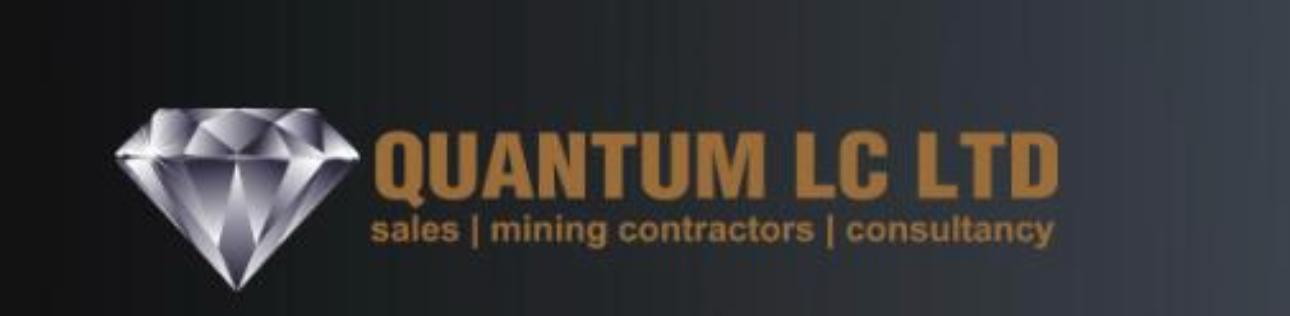 Partner logo 4