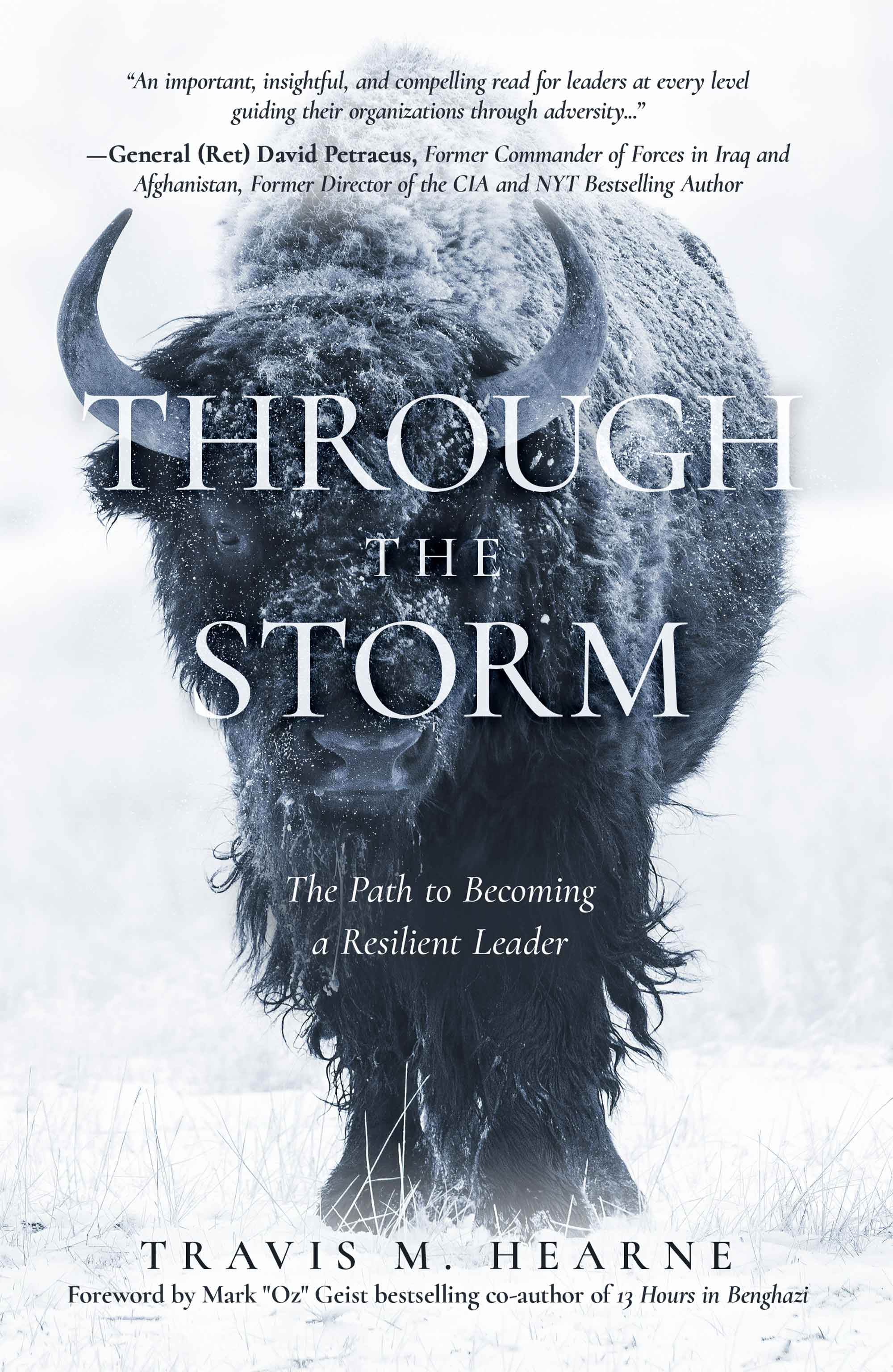 Through the Storm by Dr. Travis Hearne