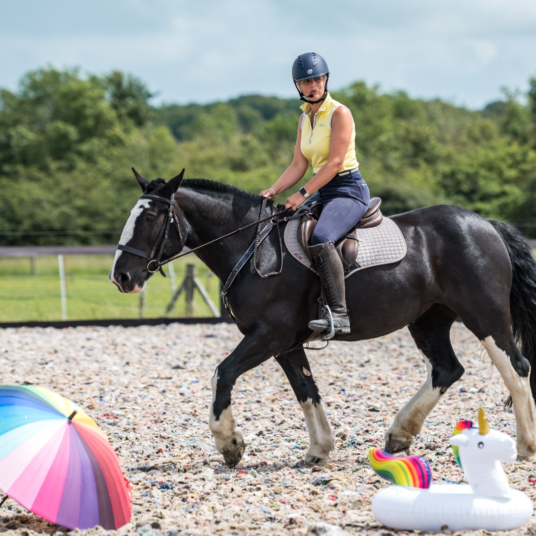 Rider on a black and white cob past a rainbow umbrella and an inflatable unicorn