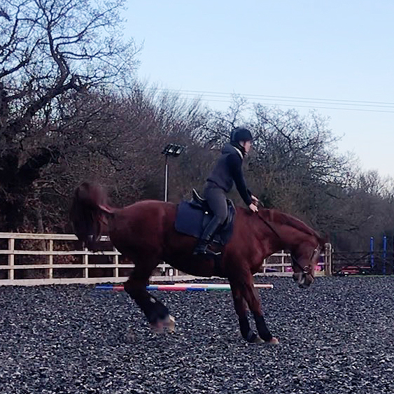 Chestnut horse bucking with a rider in an arena
