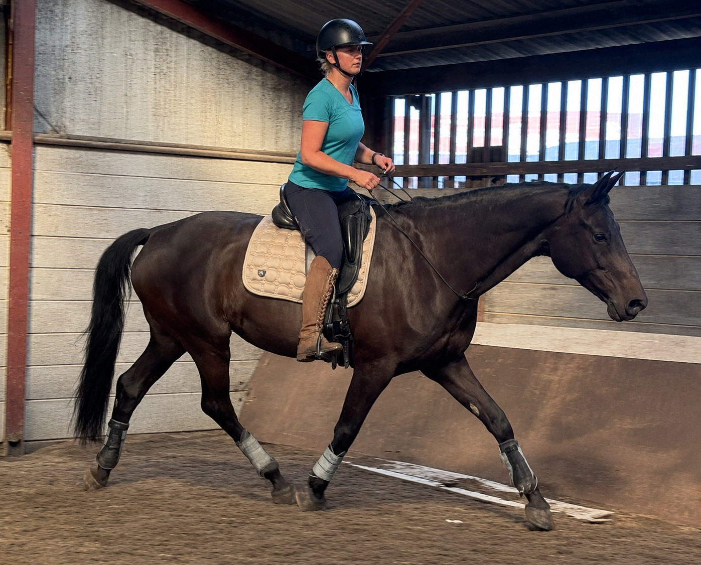 Lyla on Kiki's first bridleless ride, July 2026