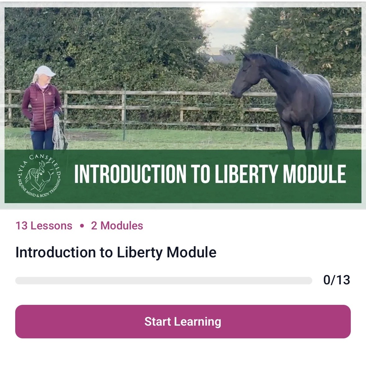 Lyla working with a horse at liberty