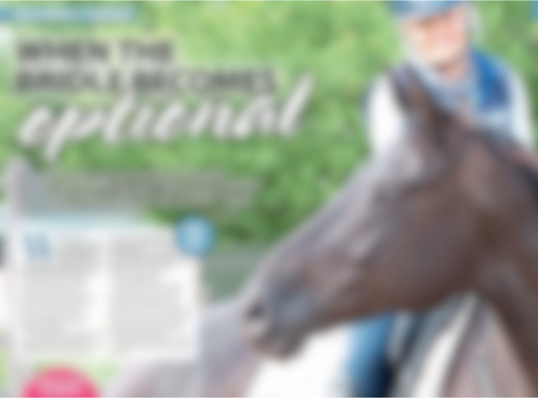 A preview of Lyla's Your Horse magazine article