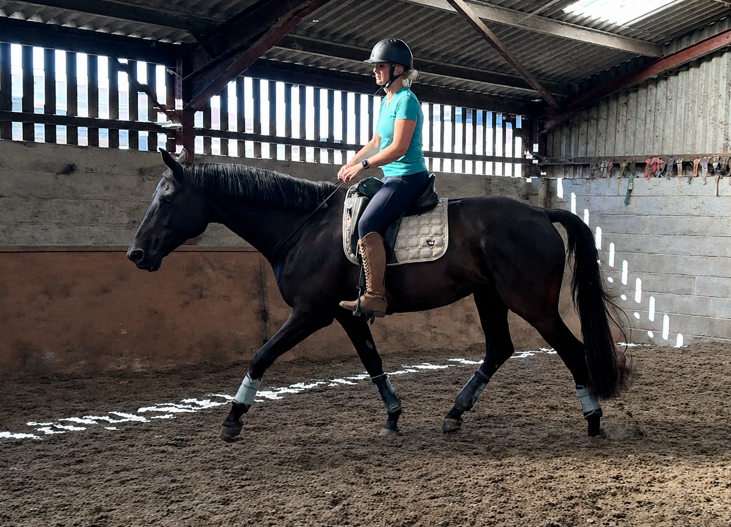 Lyla riding Kiki bridleless for the first time, 2026