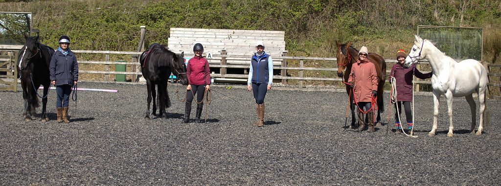 Riders and horses at one of Lyla's clinics