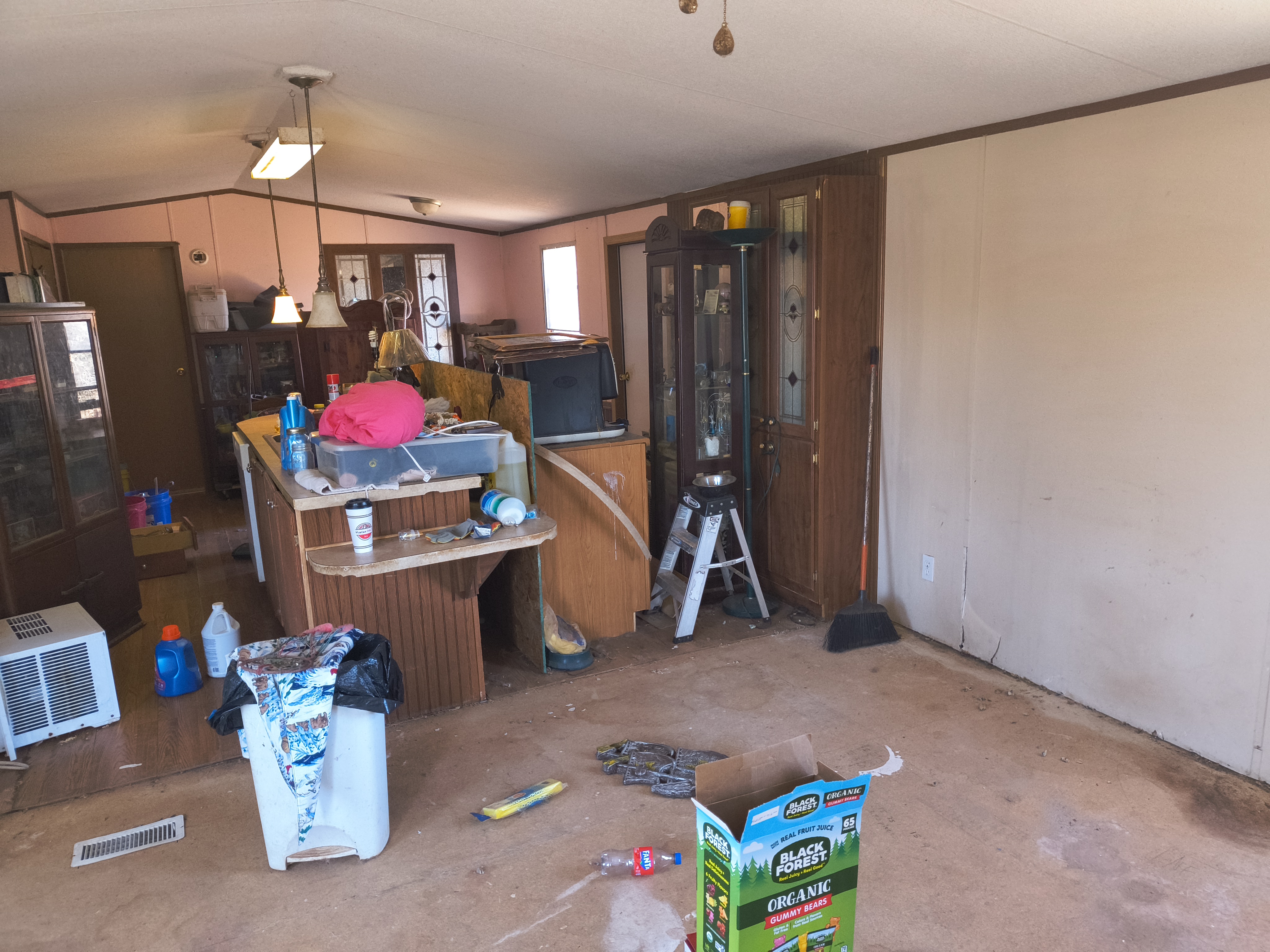 Move-In Cleaning