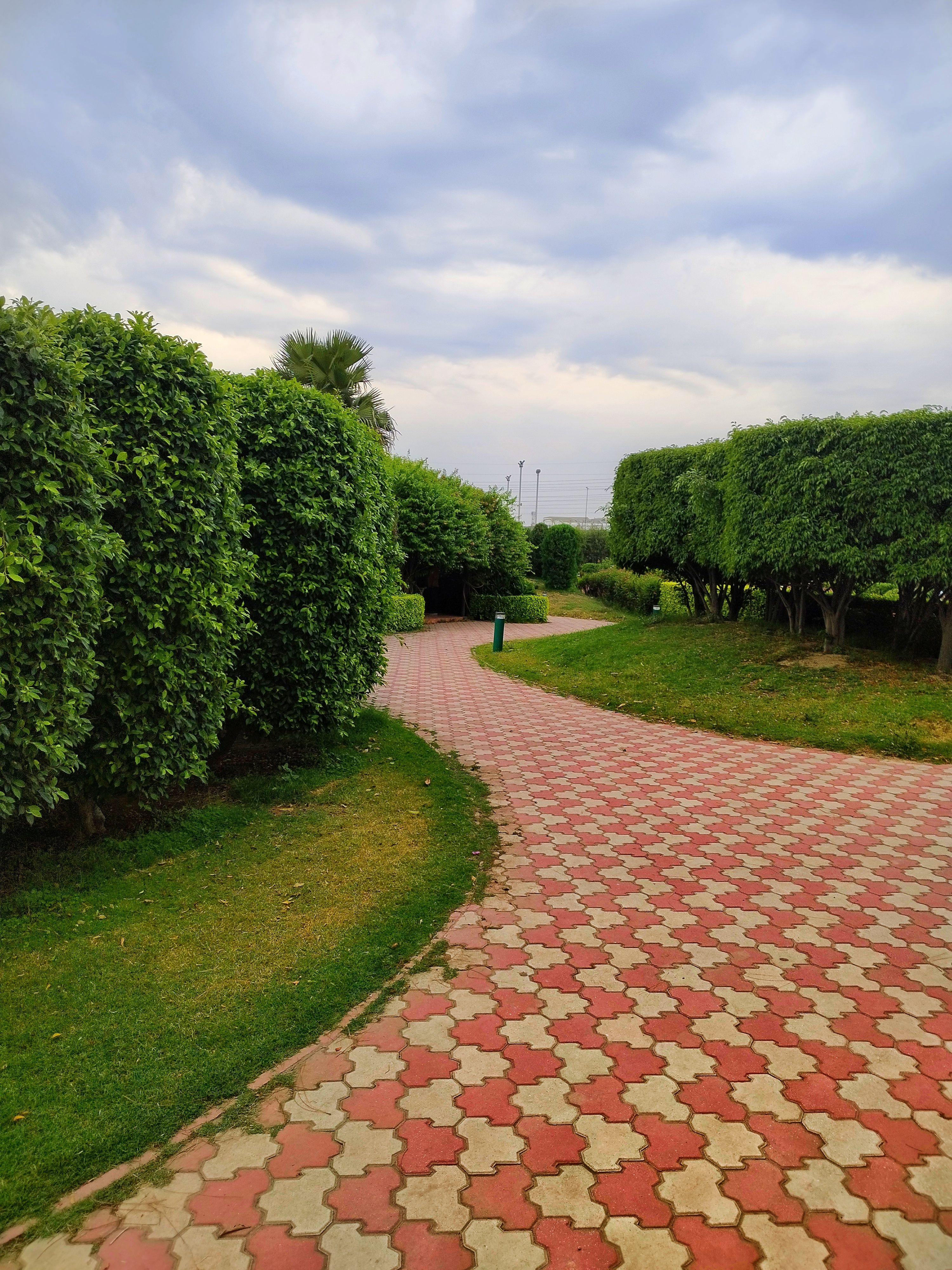 Landscaping