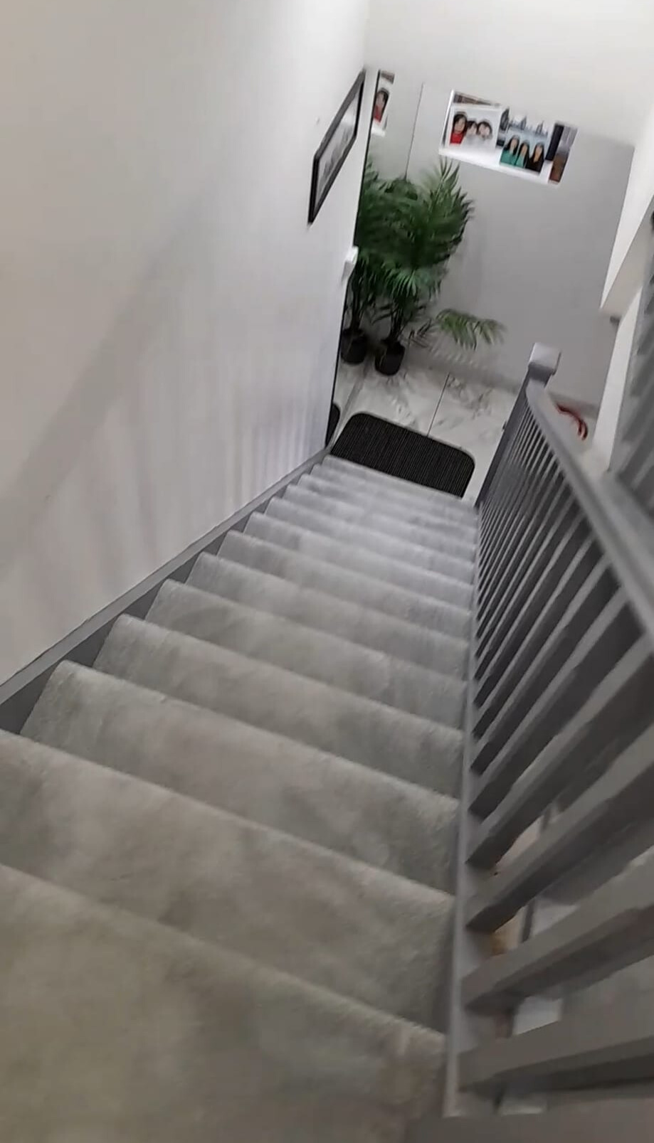 freshly cleaned staircase carpet in home that the homeowner is clearly proud of