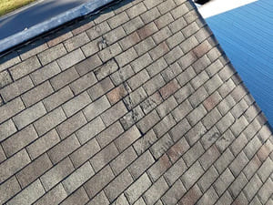 {{ custom_values.service_3 }} in {{custom_values.area_3})