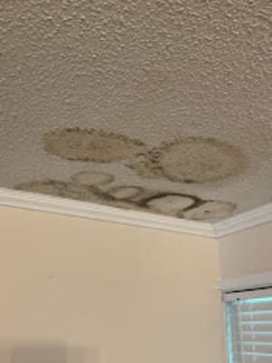 {{ custom_values.service_2 }} in {{custom_values.area_7})