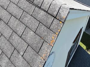 Siding replace in Lexington SC