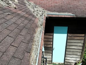 {{ custom_values.service_2 }} in {{custom_values.area_4})